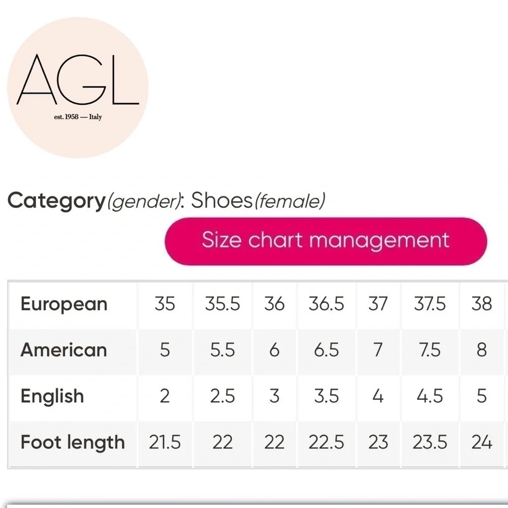 AGL Attilio Giusti Leombruni Wedge Pump